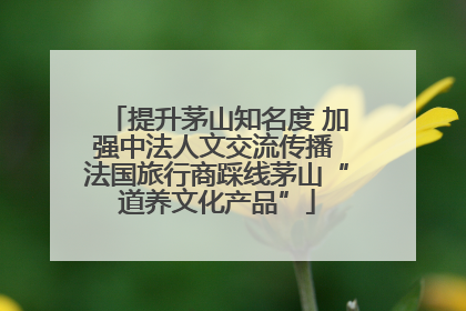 提升茅山知名度 加强中法人文交流传播 法国旅行商踩线茅山“道养文化产品”