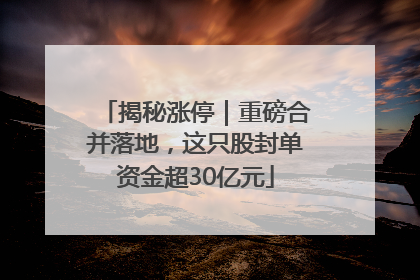 揭秘涨停｜重磅合并落地，这只股封单资金超30亿元