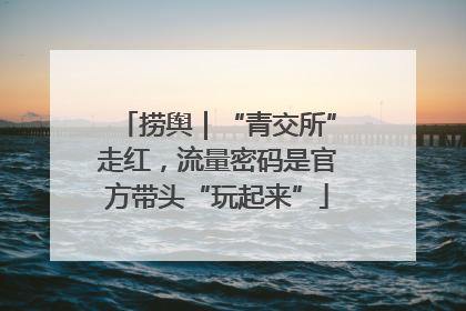 捞舆｜“青交所”走红，流量密码是官方带头“玩起来”