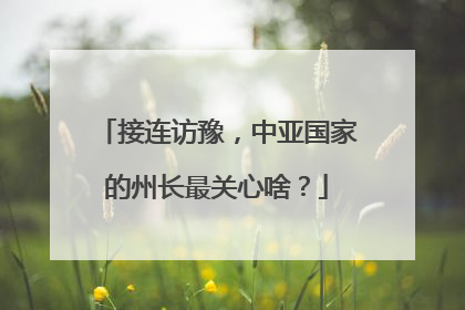接连访豫，中亚国家的州长最关心啥？