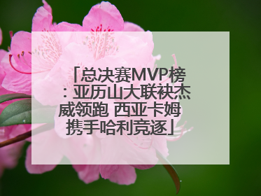 总决赛MVP榜：亚历山大联袂杰威领跑 西亚卡姆携手哈利竞逐