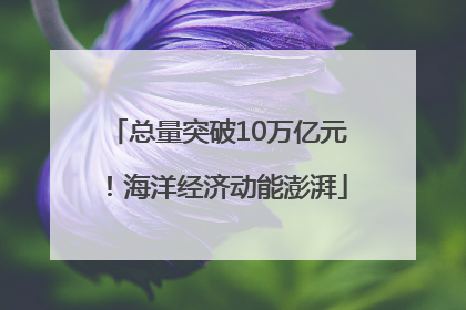 总量突破10万亿元！海洋经济动能澎湃