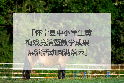 怀宁县中小学生黄梅戏竞演暨教学成果展演活动圆满落幕