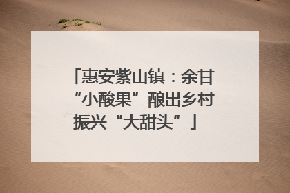 惠安紫山镇：余甘“小酸果”酿出乡村振兴“大甜头”