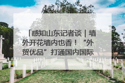 感知山东记者谈｜墙外开花墙内也香！“外贸优品”打通国内国际市场“旋转门”