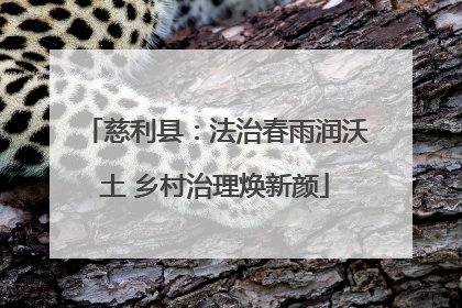 慈利县：法治春雨润沃土 乡村治理焕新颜