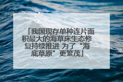 我国现存单种连片面积最大的海草床生态修复持续推进 为了“海底草原”更繁茂