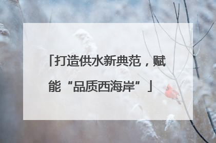打造供水新典范，赋能“品质西海岸”