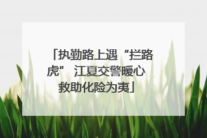 执勤路上遇“拦路虎” 江夏交警暖心救助化险为夷