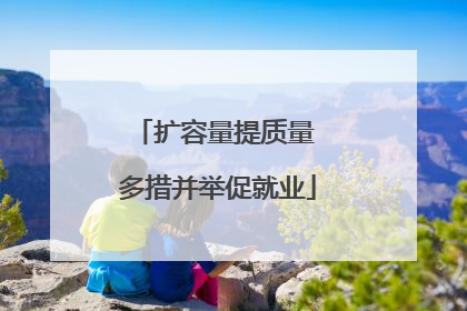 扩容量提质量 多措并举促就业