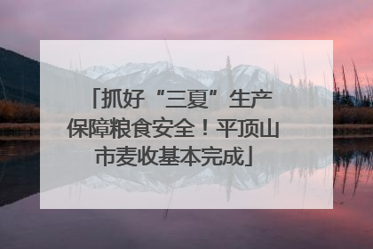 抓好“三夏”生产 保障粮食安全！平顶山市麦收基本完成