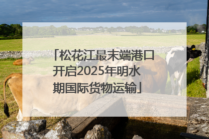 松花江最末端港口开启2025年明水期国际货物运输