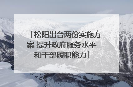 松阳出台两份实施方案 提升政府服务水平和干部履职能力