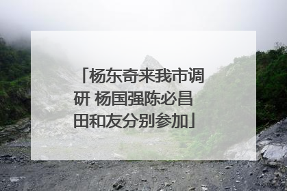 杨东奇来我市调研 杨国强陈必昌田和友分别参加