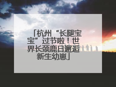 杭州“长腿宝宝”过节啦！世界长颈鹿日邂逅新生幼崽