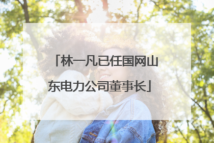 林一凡已任国网山东电力公司董事长