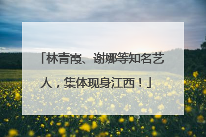 林青霞、谢娜等知名艺人，集体现身江西！