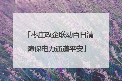 枣庄政企联动百日清障保电力通道平安