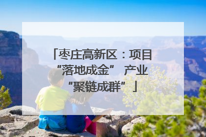 枣庄高新区：项目“落地成金” 产业“聚链成群”