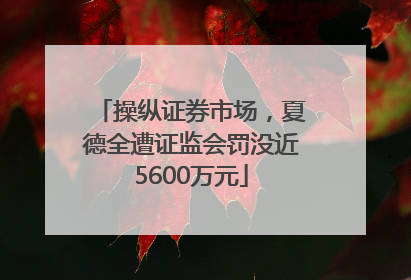 操纵证券市场，夏德全遭证监会罚没近5600万元