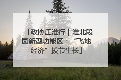 政协江淮行｜淮北段园新型功能区：“飞地经济”拔节生长