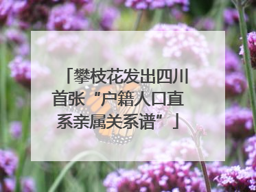 攀枝花发出四川首张“户籍人口直系亲属关系谱”