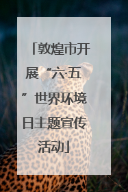 敦煌市开展“六·五”世界环境日主题宣传活动