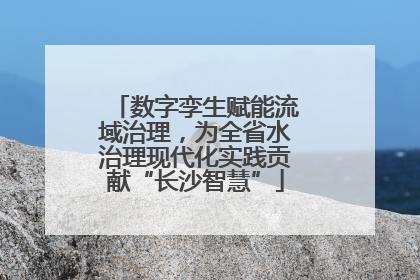 数字孪生赋能流域治理，为全省水治理现代化实践贡献“长沙智慧”