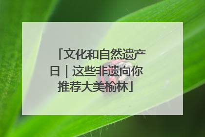 文化和自然遗产日｜这些非遗向你推荐大美榆林