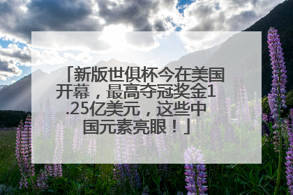 新版世俱杯今在美国开幕，最高夺冠奖金1.25亿美元，这些中国元素亮眼！
