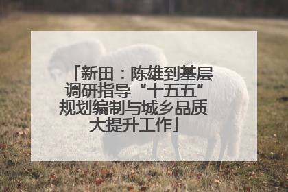 新田：陈雄到基层调研指导“十五五”规划编制与城乡品质大提升工作