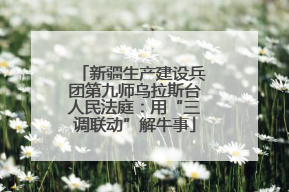新疆生产建设兵团第九师乌拉斯台人民法庭：用“三调联动”解牛事