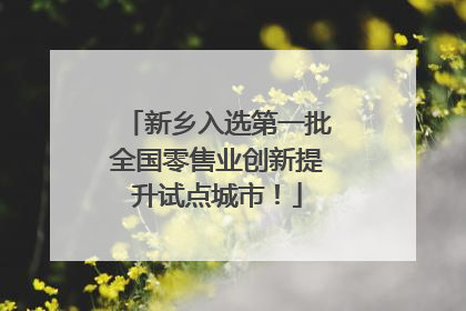 新乡入选第一批全国零售业创新提升试点城市！