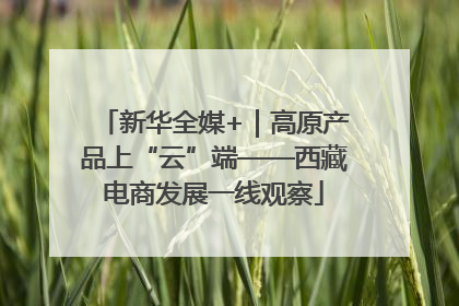 新华全媒+｜高原产品上“云”端——西藏电商发展一线观察