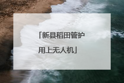 新县稻田管护用上无人机