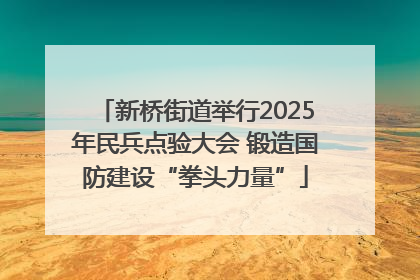 新桥街道举行2025年民兵点验大会 锻造国防建设“拳头力量”