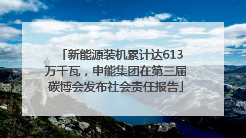新能源装机累计达613万千瓦，申能集团在第三届碳博会发布社会责任报告