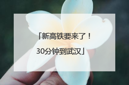 新高铁要来了！30分钟到武汉