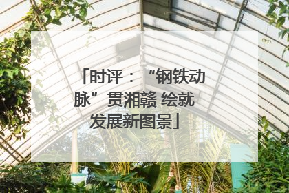 时评：“钢铁动脉”贯湘赣 绘就发展新图景
