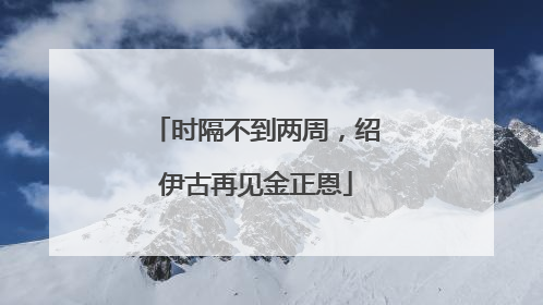 时隔不到两周，绍伊古再见金正恩