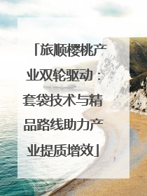 旅顺樱桃产业双轮驱动：套袋技术与精品路线助力产业提质增效