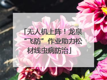 无人机上阵！龙泉“飞防”作业助力松材线虫病防治