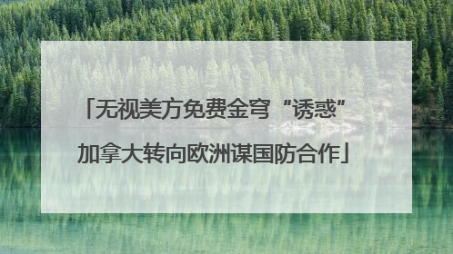 无视美方免费金穹“诱惑” 加拿大转向欧洲谋国防合作