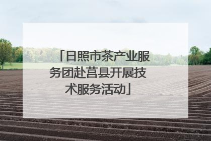日照市茶产业服务团赴莒县开展技术服务活动