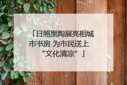 日照黑陶展亮相城市书房 为市民送上“文化清凉”