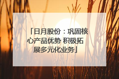 日月股份：巩固核心产品优势 积极拓展多元化业务