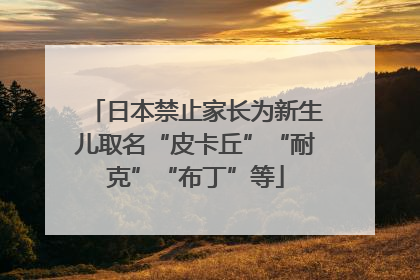 日本禁止家长为新生儿取名“皮卡丘”“耐克”“布丁”等