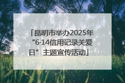 昆明市举办2025年“6·14信用记录关爱日”主题宣传活动