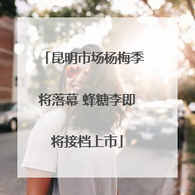 昆明市场杨梅季将落幕 蜂糖李即将接档上市