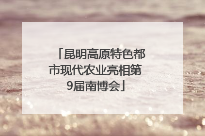 昆明高原特色都市现代农业亮相第9届南博会
